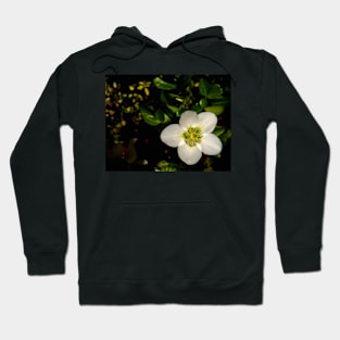 Christmas Rose Hoodie